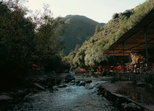 Escaping the Heat: A Complete Guide to the Ourika Valley
