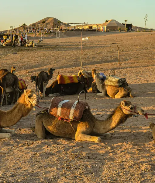 Agafay Desert Escapes