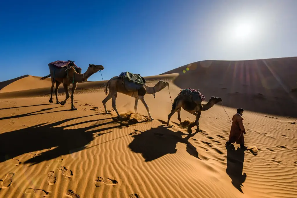 sahara