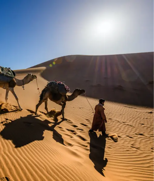 Merzouga Desert