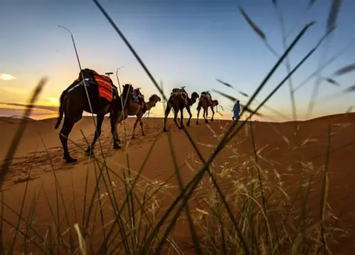 3 Day Merzouga Desert Tour